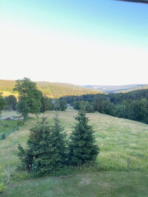 Appartement Lumineux Avec Vue Sur Les Montagnes 莫尔比耶 外观 照片