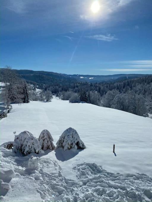 Appartement Lumineux Avec Vue Sur Les Montagnes 莫尔比耶 外观 照片